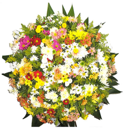 Flora Coroas de flores Cemitério Porto Seguro Neves